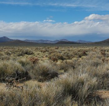 Pioche desert et montagnes Nevada