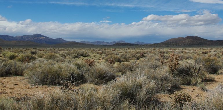 Pioche desert et montagnes Nevada
