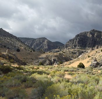Vallée route 50 près Ely Nevada